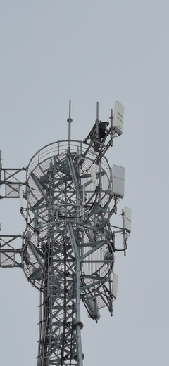 大雪時(shí)節(jié)，電信服務(wù)溫暖如約——記信息咨詢服務(wù)的堅(jiān)守與溫度